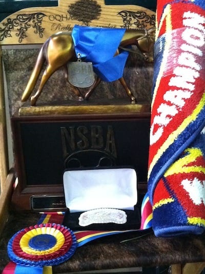 NSBA Award goodies for Show Stop Farm