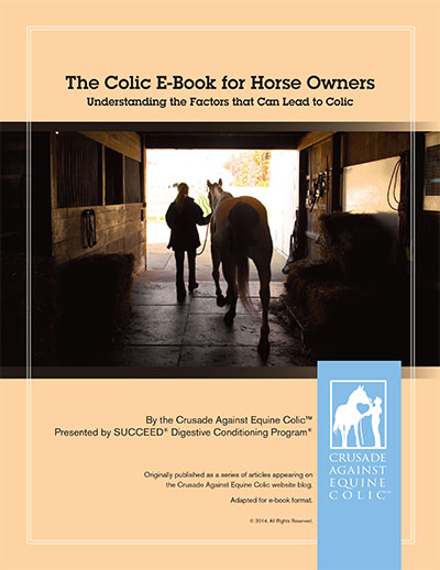 Colic ebook cover