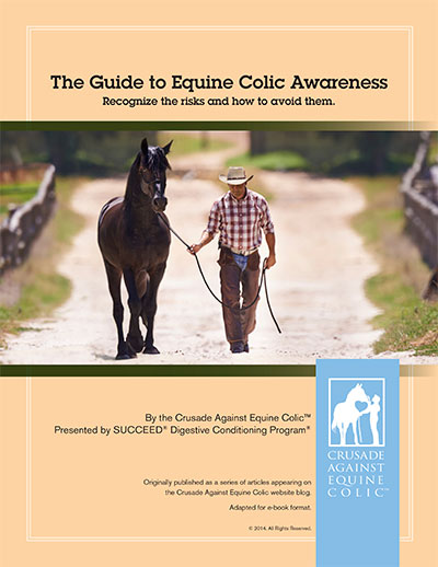 Guide to equine colic awareness