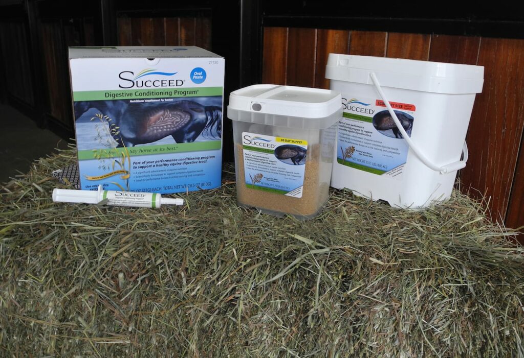 Hay is for Horses, on Getting More from Hay with SUCCEED