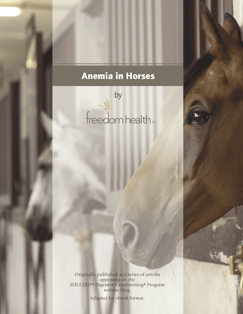 Anemia in Horses ebook cover