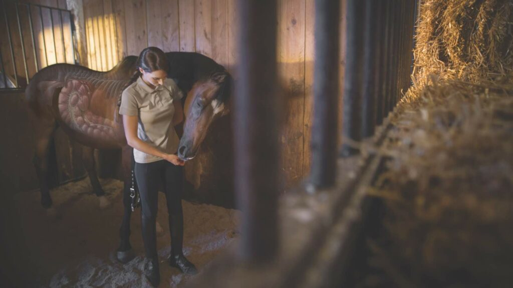 Horse and owner in barn stall