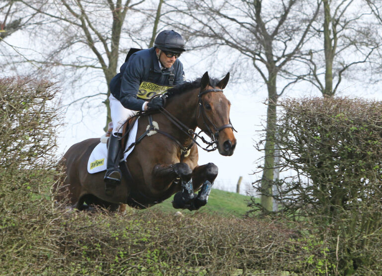 First 60 Days on SUCCEED Gut Health Support for Horses