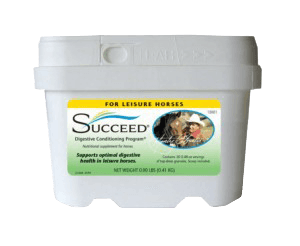 SUCCEED for leisure horses