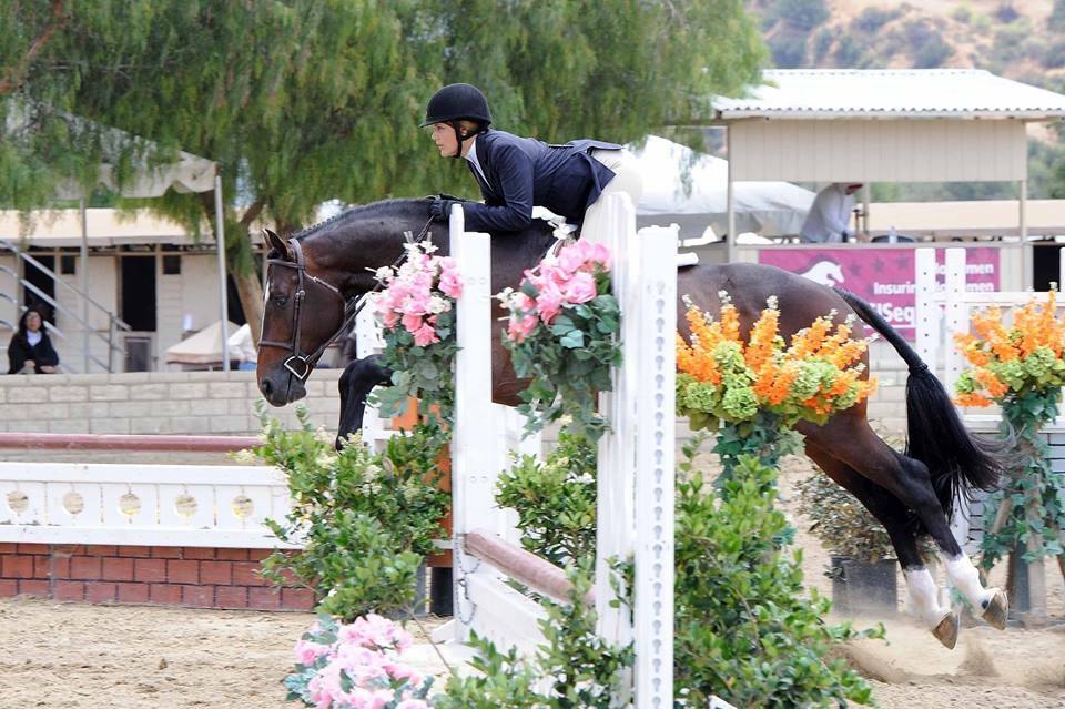 Tom Foran and Daphne Thompson's horse jumping