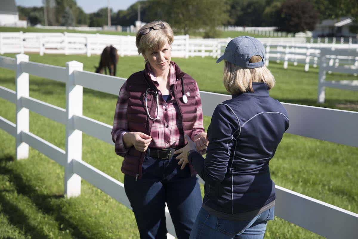 Equine veterinarian talking to horse owner