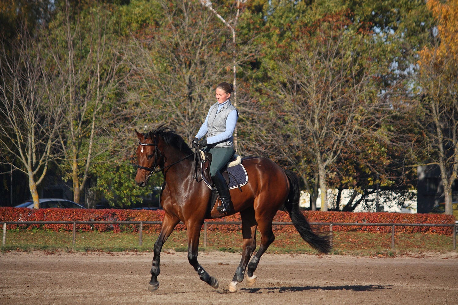 girl riding a horse