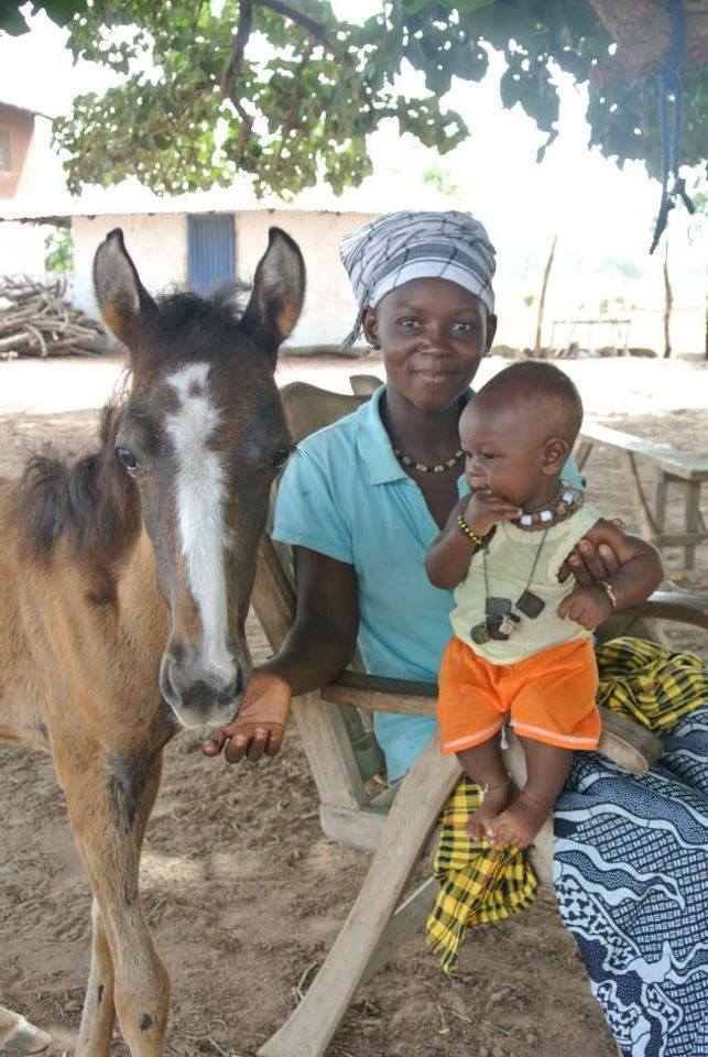 Gambia Horse & Donkey Trust
