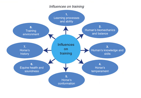 Influences on training chart