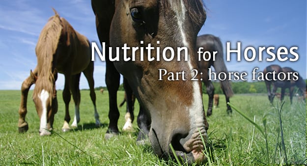 Nutrition-Pt2-Blog