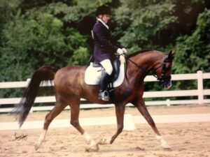 maxdressage