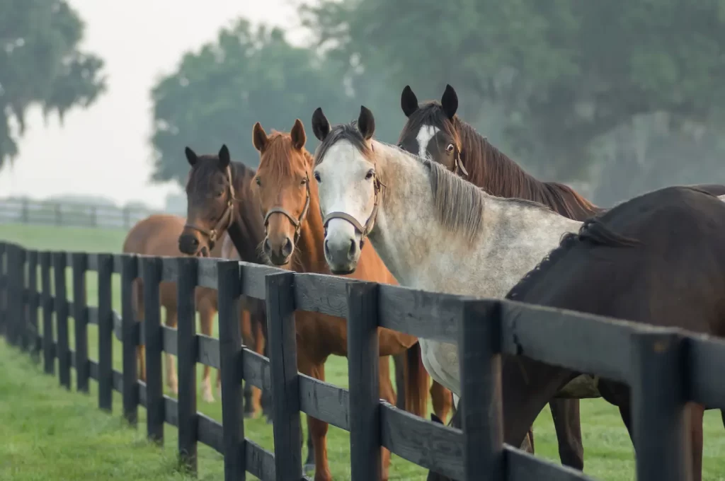 Modern Approach to Parasite Control